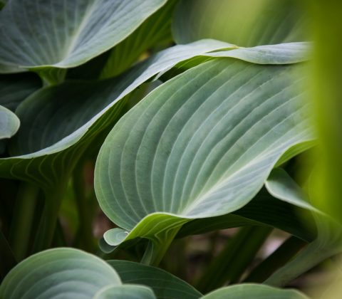 dave-visser-aDi6YKWOdXI-unsplash