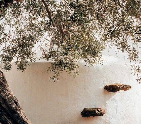 monique-sJN_dVA9UtI-unsplash